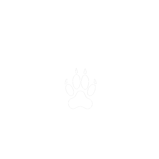 Fun Agility People