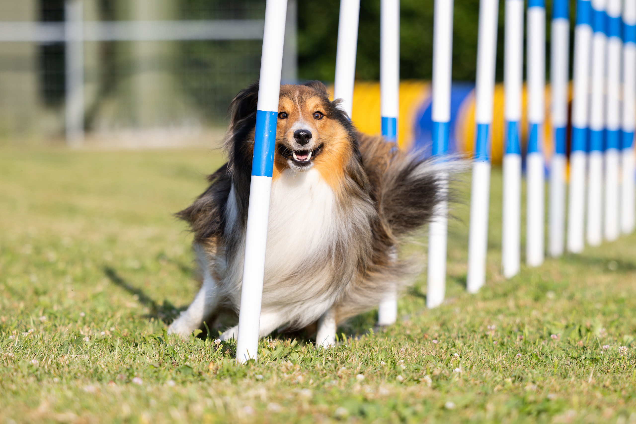 Slider 2 Fun Agility People 2