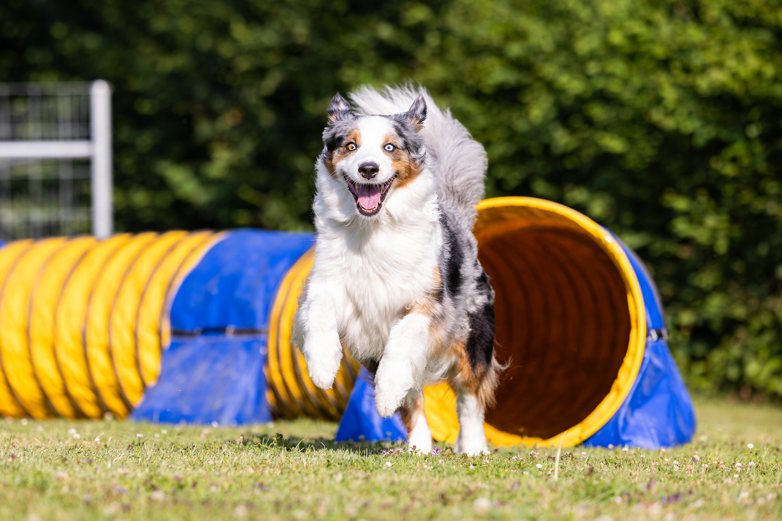 Slider 3 Fun Agility People 2025