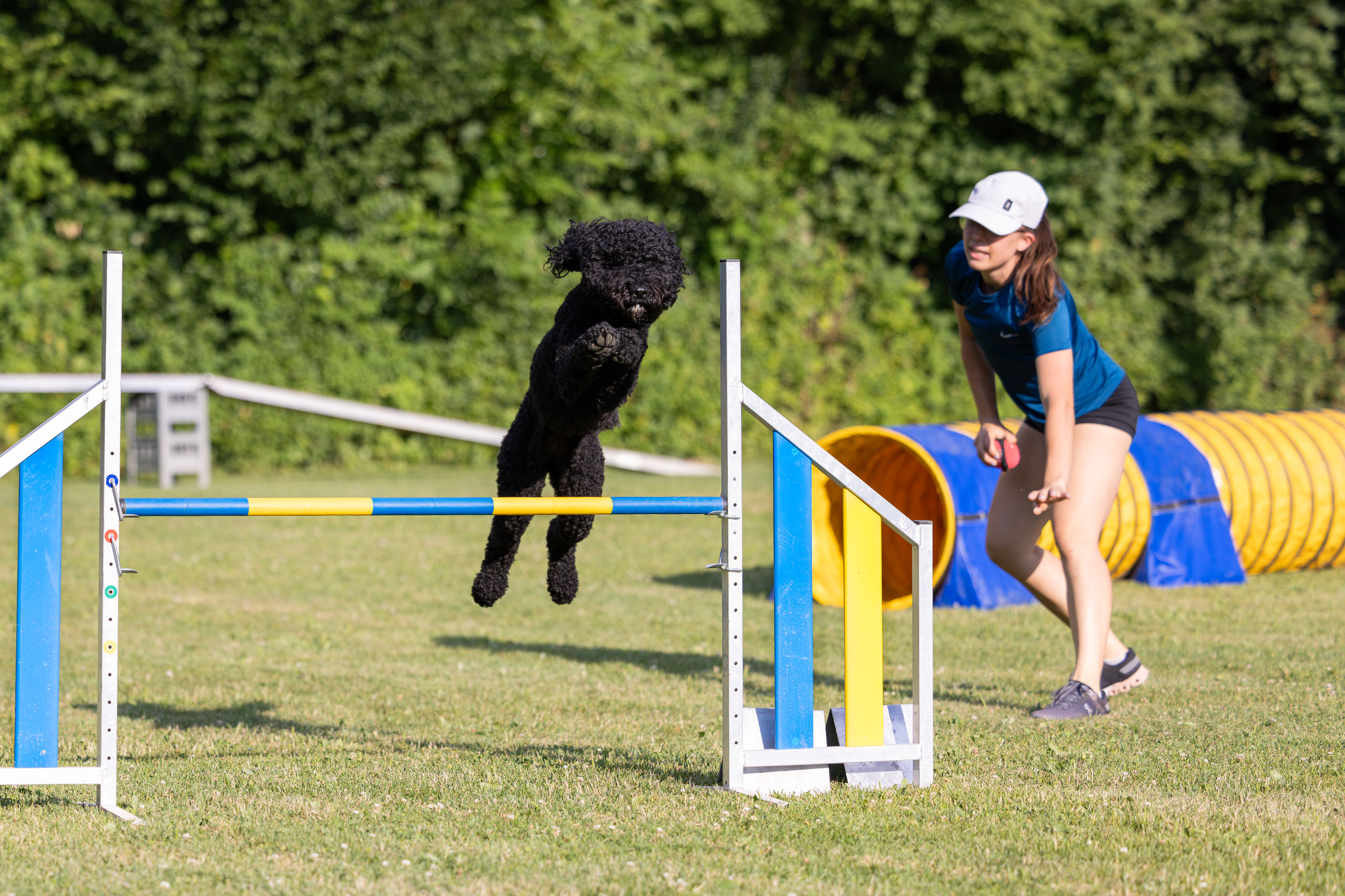 Slider 3-Fun Agility People Training