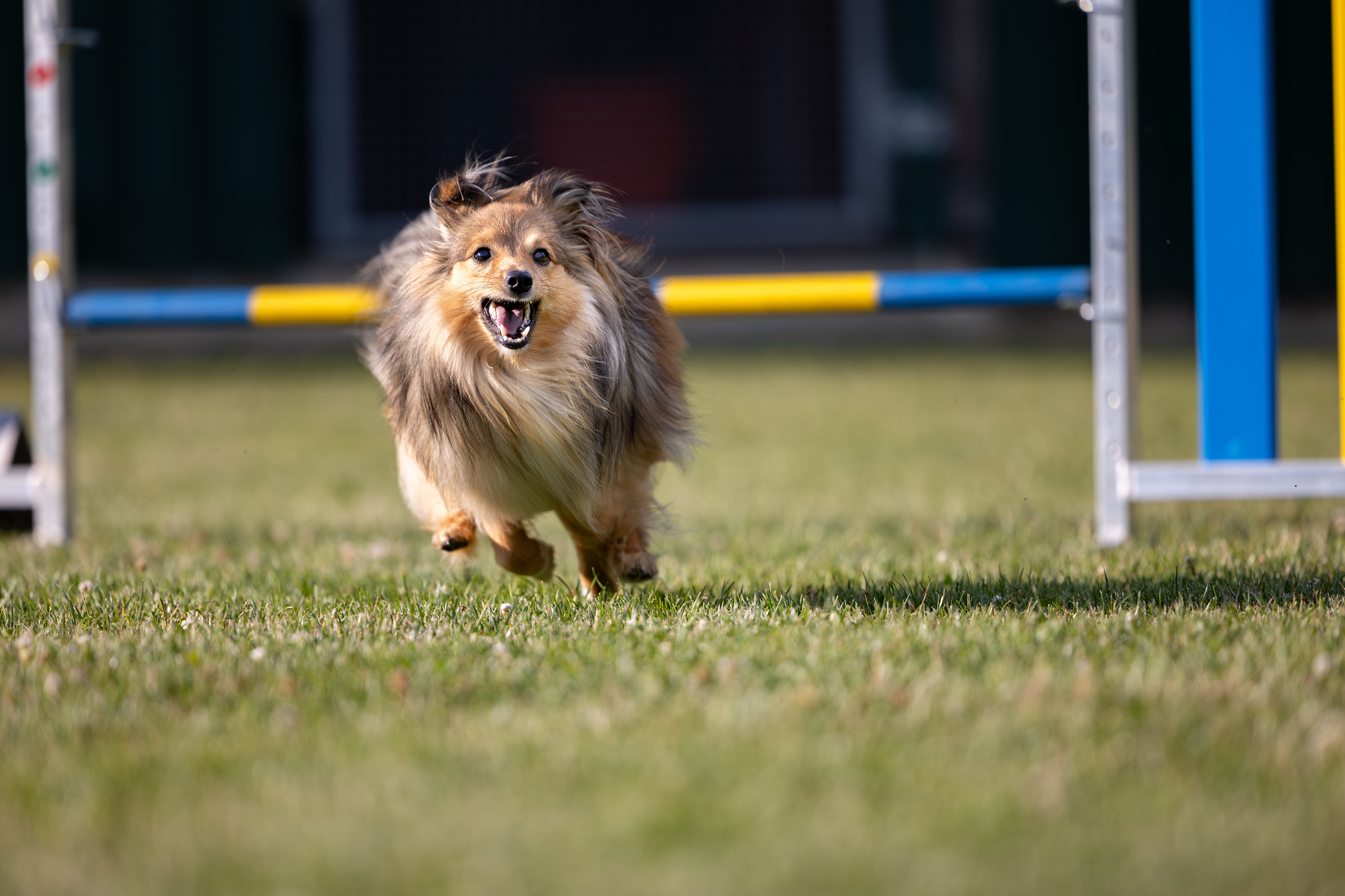 Slider Fun Agility People 2025